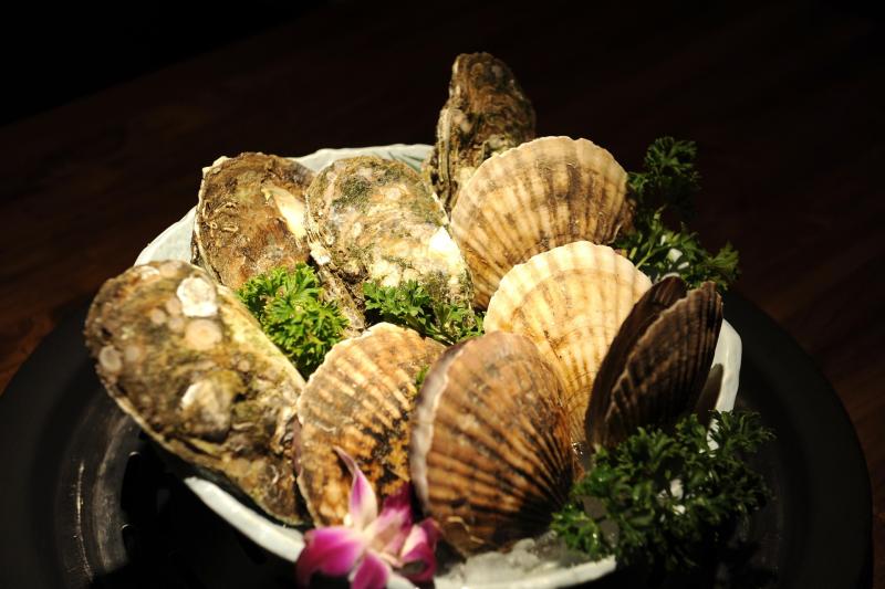 Molluscs and Bivalves