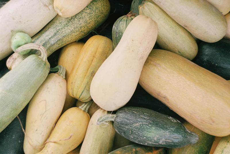 Gourds And Squashes
