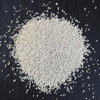 Microorganisms and Fermentation Agents