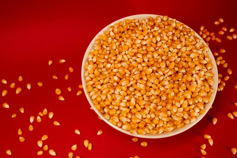 Corn and Corn-Based Grains