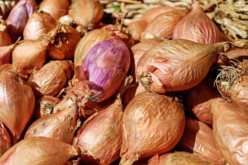 Shallot