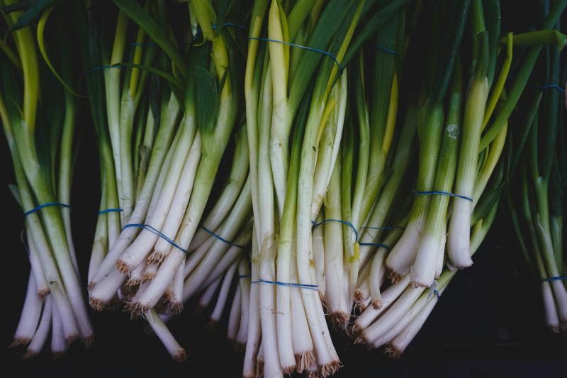 Scallion