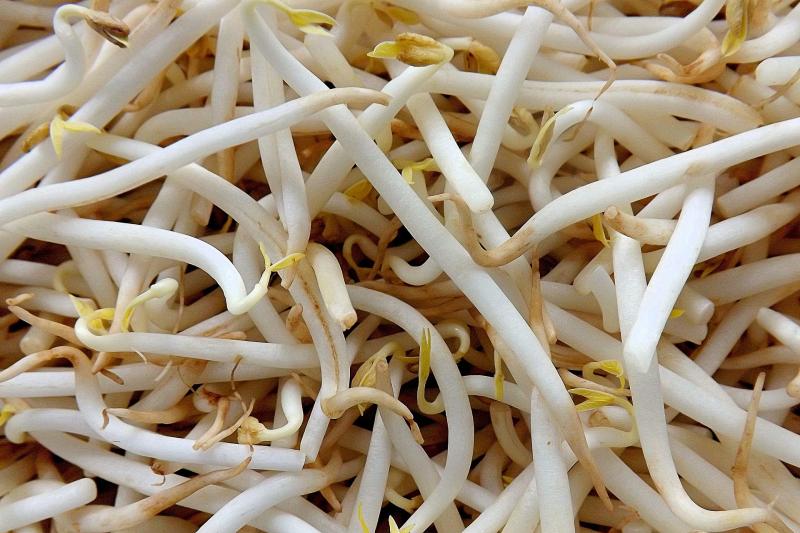 Bean Sprouts