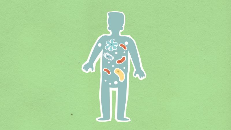 Microbiome